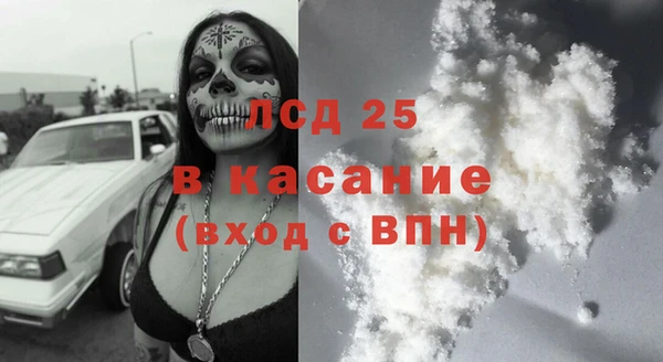 прущие грибы Куйбышев