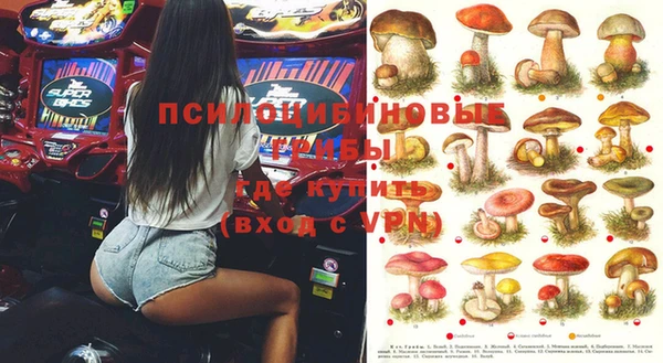 сатива Краснотурьинск