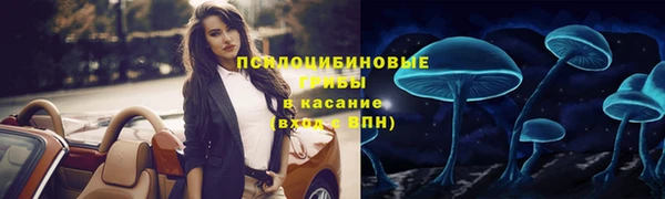 МДПВ Корсаков