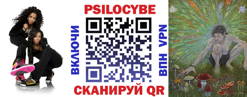 Купить где  Мегион  Псилоцибиновые грибы мицелий 